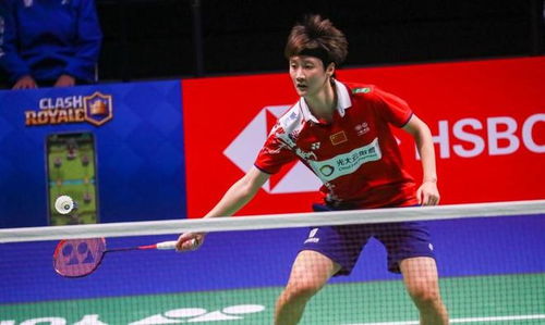 意进一步提 意进一步提