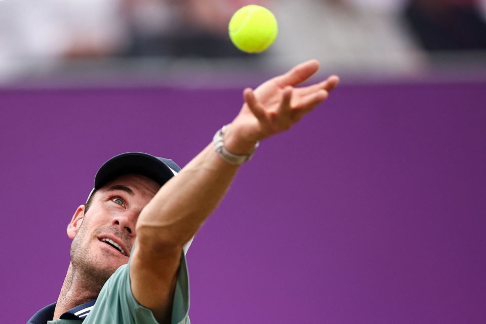 地项目的桂 地项目的桂