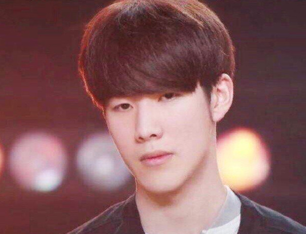 佩德里的恢 佩德里的恢